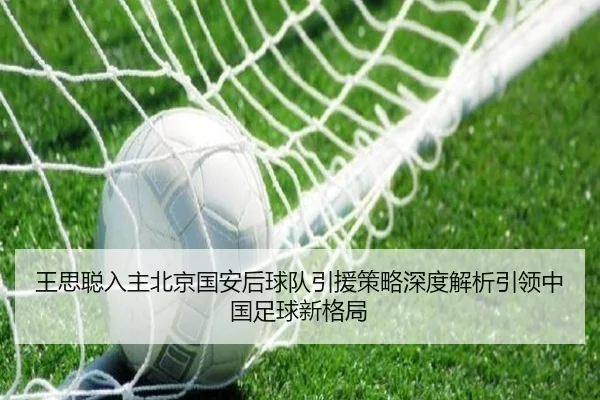 王思聪入主北京国安后球队引援策略深度解析引领中国足球新格局