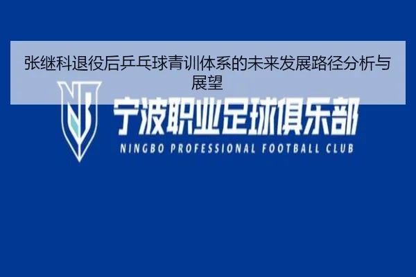 张继科退役后乒乓球青训体系的未来发展路径分析与展望