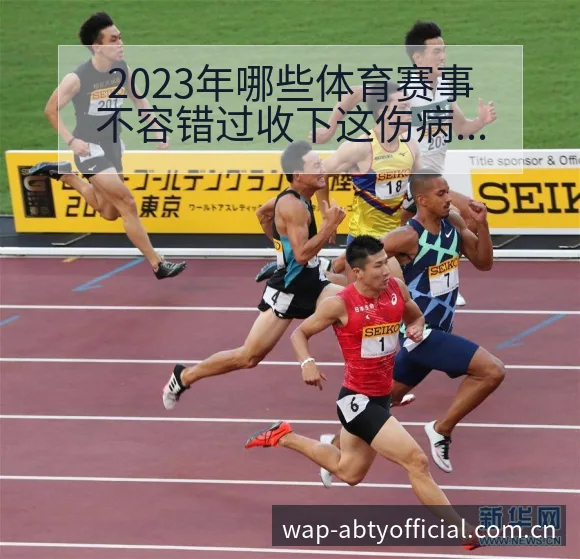 2023年哪些体育赛事不容错过收下这伤病恢复对赛程影响数 - 安博体育